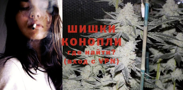 прущие грибы Балахна
