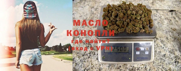 таблы Богородицк