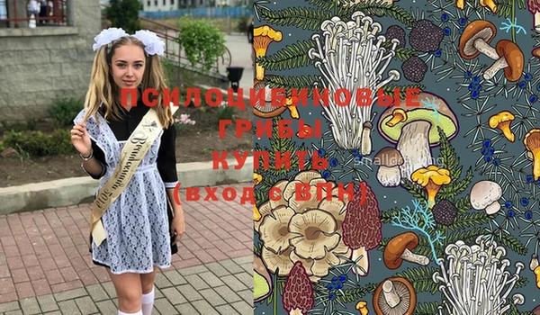 таблы Богородицк
