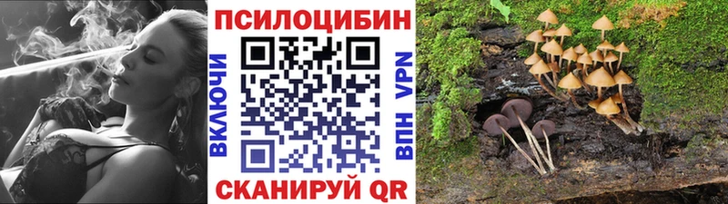 Псилоцибиновые грибы Psilocybe  Новомосковск 