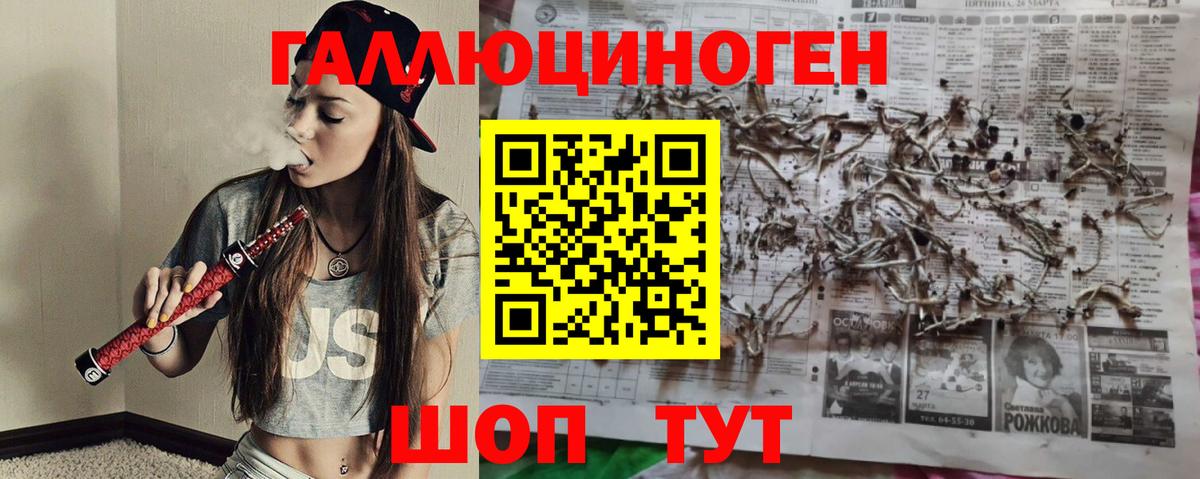 Галлюциногенные грибы Psilocybine cubensis  Вход с VPN  Псилоцибиновые грибы прущие грибы  Новомосковск 
