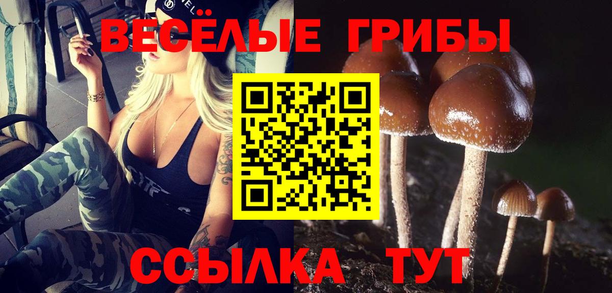 Псилоцибиновые грибы MAGIC MUSHROOMS Новомосковск